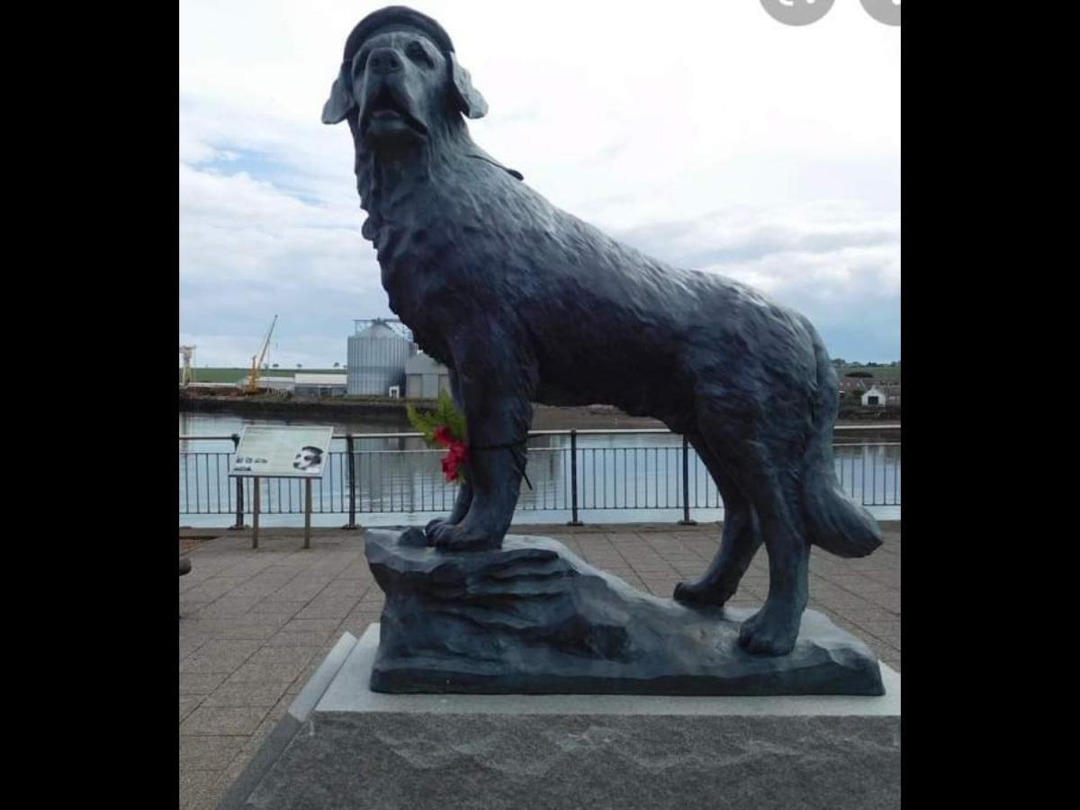 The Thin Seagull 4 Beacon Terrace Ferryden Villa ภายนอก รูปภาพ